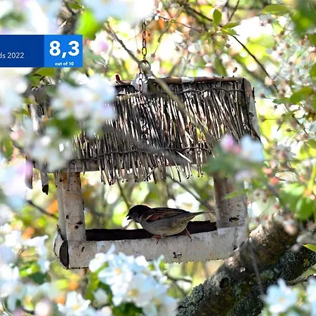 Διαμέρισμα Jagoda Pisz